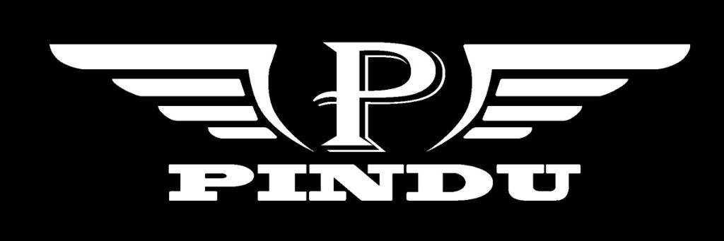 PINDU Logo